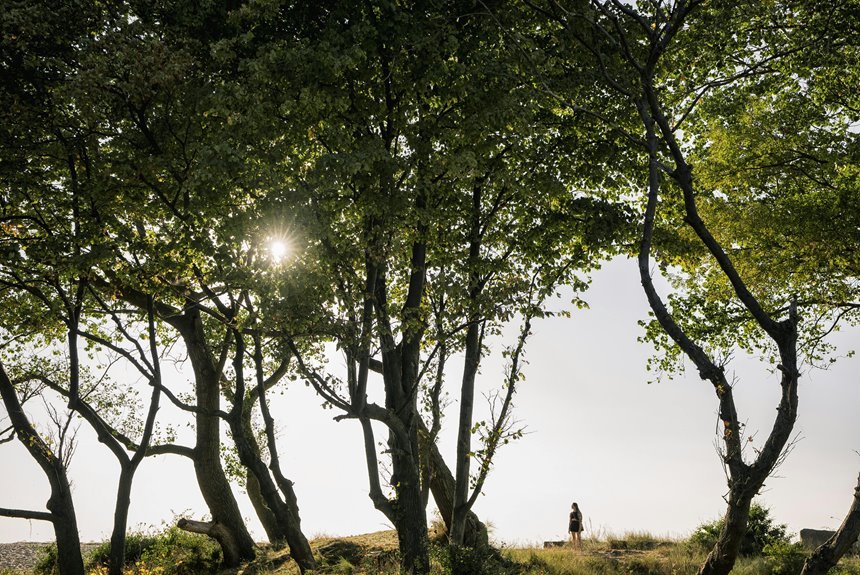 canada phone number search