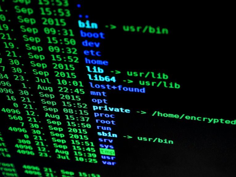 caller information lookup service